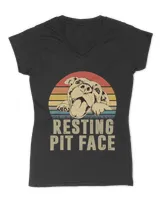 Women's V-Neck T-Shirt Women's V-Neck T-Shirt