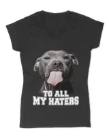 Women's V-Neck T-Shirt Women's V-Neck T-Shirt