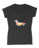 Women's V-Neck T-Shirt Women's V-Neck T-Shirt
