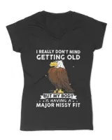 Women's V-Neck T-Shirt Women's V-Neck T-Shirt