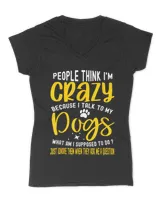 Women's V-Neck T-Shirt Women's V-Neck T-Shirt