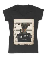 Women's V-Neck T-Shirt Women's V-Neck T-Shirt