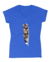 Women's V-Neck T-Shirt