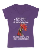 Women's V-Neck T-Shirt