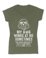 Women's V-Neck T-Shirt Women's V-Neck T-Shirt