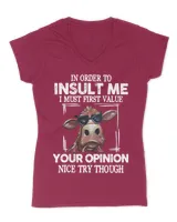 Women's V-Neck T-Shirt