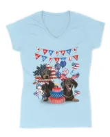 Women's V-Neck T-Shirt