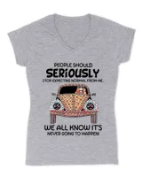Women's V-Neck T-Shirt