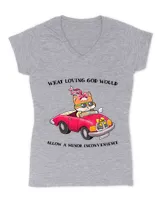 Women's V-Neck T-Shirt Women's V-Neck T-Shirt