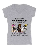 Women's V-Neck T-Shirt Women's V-Neck T-Shirt