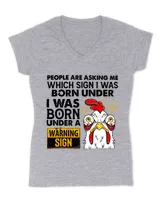 Women's V-Neck T-Shirt Women's V-Neck T-Shirt