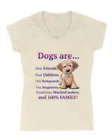 Women's V-Neck T-Shirt