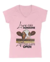 Women's V-Neck T-Shirt