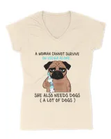 Women's V-Neck T-Shirt
