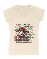 Women's V-Neck T-Shirt