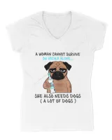 Women's V-Neck T-Shirt