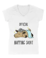 Women's V-Neck T-Shirt Women's V-Neck T-Shirt