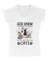 Women's V-Neck T-Shirt