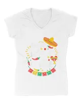 Women's V-Neck T-Shirt Women's V-Neck T-Shirt