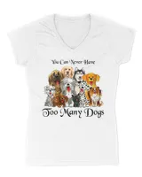 Women's V-Neck T-Shirt