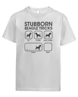 Youth's Standard T-Shirt