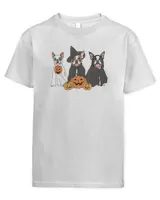Youth's Standard T-Shirt