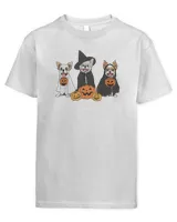Youth's Standard T-Shirt