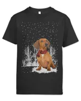 Youth's Standard T-Shirt