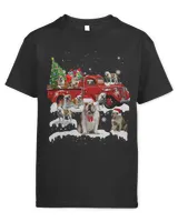 Youth's Standard T-Shirt