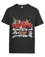 Youth's Standard T-Shirt