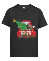 Youth's Standard T-Shirt