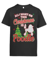 Youth's Standard T-Shirt