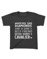 Youth's Standard T-Shirt
