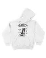 Kids Pullover Hoodie