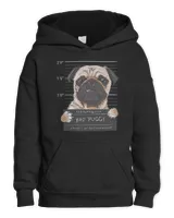 Kids Pullover Hoodie