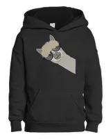 Kids Pullover Hoodie