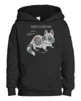 Kids Pullover Hoodie