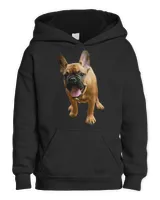 Youth Pullover Hoodie