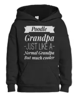 Youth Pullover Hoodie