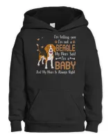 Youth Pullover Hoodie