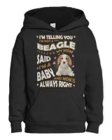 Youth Pullover Hoodie