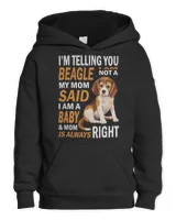 Youth Pullover Hoodie