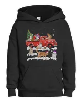 Youth Pullover Hoodie