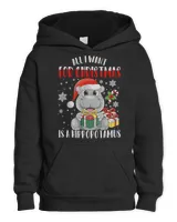 Youth Pullover Hoodie
