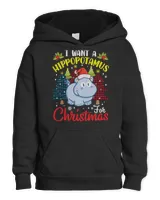 Youth Pullover Hoodie