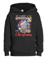 Youth Pullover Hoodie