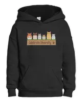 Kids Pullover Hoodie
