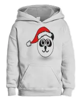 Youth Pullover Hoodie