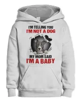 Kids Pullover Hoodie