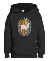 Kids Pullover Hoodie